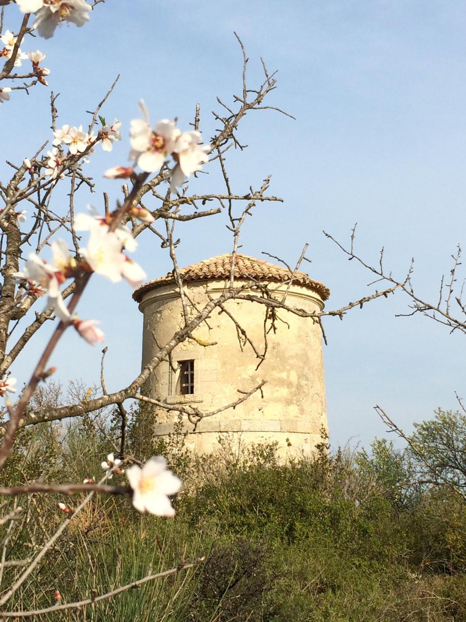 Chateau Pech-Celeyran Salles-d'Aude Екстер'єр фото